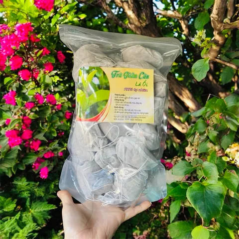Trà Lá Ổi 30 Túi Lọc Hỗ Trợ Dáng Gọn, Nhẹ Bụng, Thanh Lọc Cơ Thể, Hỗ Trợ Chuyển Hóa Chất Béo, Vùng Bụng Nhẹ Nhàng