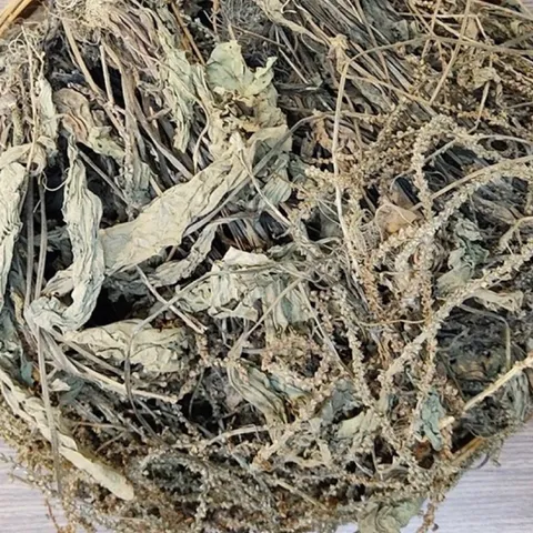 1Kg Cây Bông Mã Đề Khô (Sao Vàng Hạ Thổ) Vụ Mới, Thơm Tự Nhiên, Dùng Nấu Nước Và Hãm Trà Thảo Mộc