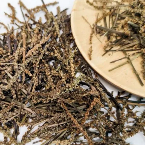 1Kg Cây Bông Mã Đề Khô (Sao Vàng Hạ Thổ) Vụ Mới, Thơm Tự Nhiên, Dùng Nấu Nước Và Hãm Trà Thảo Mộc