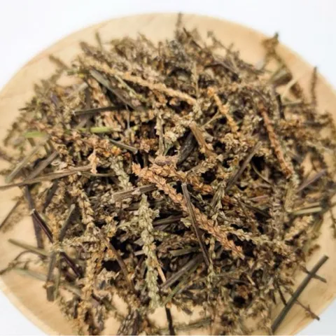 1Kg Cây Bông Mã Đề Khô (Sao Vàng Hạ Thổ) Vụ Mới, Thơm Tự Nhiên, Dùng Nấu Nước Và Hãm Trà Thảo Mộc