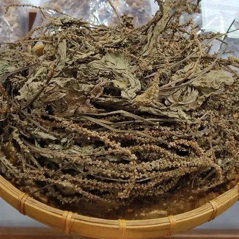 1Kg Cây Bông Mã Đề Khô (Sao Vàng Hạ Thổ) Vụ Mới, Thơm Tự Nhiên, Dùng Nấu Nước Và Hãm Trà Thảo Mộc