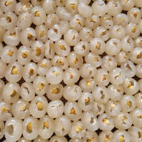1Kg Long Nhãn Ôm Sen Hưng Yên Sấy Dẻo Loại 1, Cùi Dày Thơm Ngọt Tự Nhiên, Long Nhãn Khô, Pha Trà, Nấu Chè,Ăn Trực Tiếp