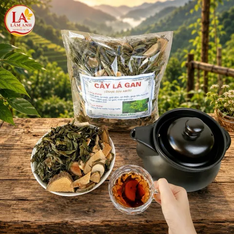 1Kg Cây Lá Gan Rừng (Sao Vàng Hạ Thổ, Thơm Mới) Hỗ Trợ Mát Gan, Gan Mỡ, Thanh Nhiệt, Ăn Ngủ Ngon, Detox Thanh Lọc Cơ Thể