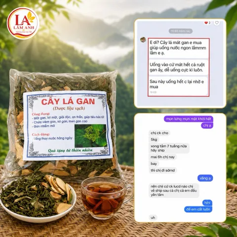 1Kg Cây Lá Gan Rừng (Sao Vàng Hạ Thổ, Thơm Mới) Hỗ Trợ Mát Gan, Gan Mỡ, Thanh Nhiệt, Ăn Ngủ Ngon, Detox Thanh Lọc Cơ Thể