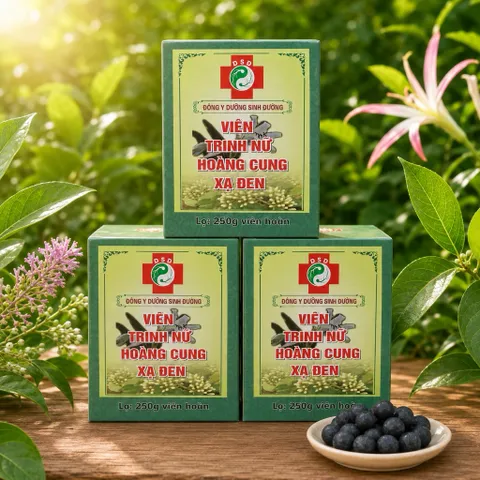 1Kg Viên Trinh Nữ Hoàng Cung Xạ Đen (Dưỡng Sinh Đường) Hỗ Trợ Cân Bằng Nội Tiết, Thanh Nhiệt, Chăm Sóc Sức Khỏe Phụ Nữ