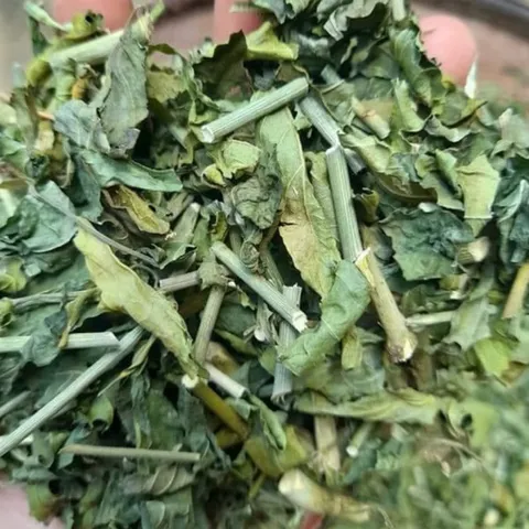 1Kg Cây Xương Khỉ (Sao Vàng Hạ Thổ, Khô Sạch Loại 1) – Hay Còn Gọi Là Bìm Bịp, Mảnh Cộng, Mát Gan, Thanh Nhiệt