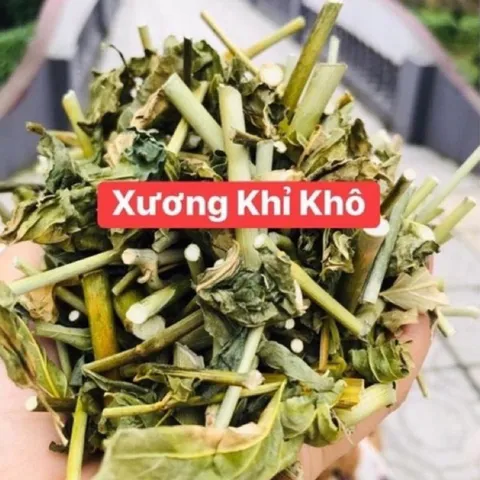 1Kg Cây Xương Khỉ (Sao Vàng Hạ Thổ, Khô Sạch Loại 1) – Hay Còn Gọi Là Bìm Bịp, Mảnh Cộng, Mát Gan, Thanh Nhiệt