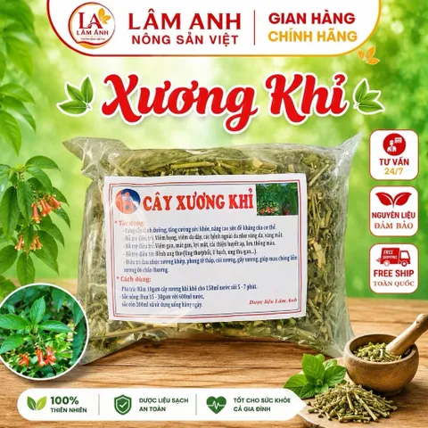 1Kg Cây Xương Khỉ (Sao Vàng Hạ Thổ, Khô Sạch Loại 1) – Hay Còn Gọi Là Bìm Bịp, Mảnh Cộng, Mát Gan, Thanh Nhiệt