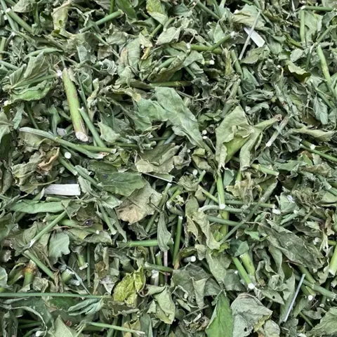 1Kg Cây Xương Khỉ (Sao Vàng Hạ Thổ, Khô Sạch Loại 1) – Hay Còn Gọi Là Bìm Bịp, Mảnh Cộng, Mát Gan, Thanh Nhiệt