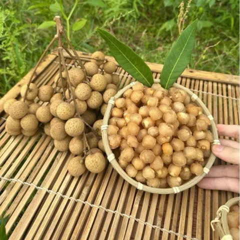 100Gr Long Nhãn Ôm Sen Hưng Yên Sấy Dẻo Loại 1, Cùi Dày Thơm Ngọt Tự Nhiên, Long Nhãn Khô, Pha Trà, Nấu Chè,Ăn Trực Tiếp