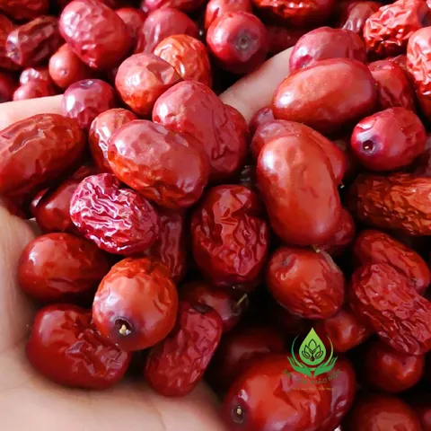 Táo Đỏ Sấy Khô 100gr Quả To Đỏ Đều Và Đẹp Loại 1