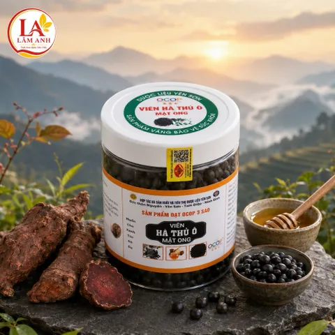 1Kg Viên Hà Thủ Ô Mật Ong (ĐẠT OCOP 3 SAO) Hỗ Trợ Làm Đen Tóc, Giảm Tóc Bạc, Giúp Tóc Chắc Khỏe, Mượt Tự Nhiên, Bổ Huyết