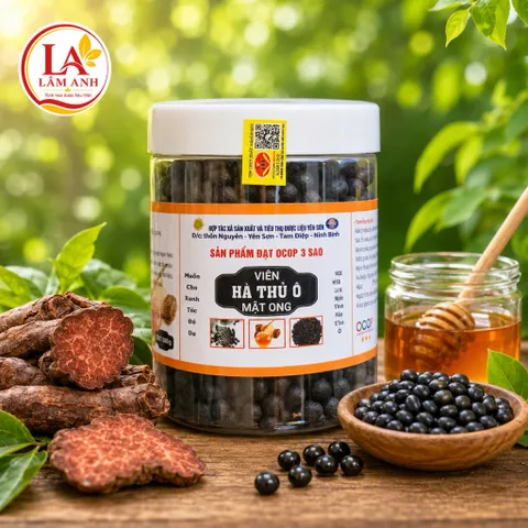 1Kg Viên Hà Thủ Ô Mật Ong (ĐẠT OCOP 3 SAO) Hỗ Trợ Làm Đen Tóc, Giảm Tóc Bạc, Giúp Tóc Chắc Khỏe, Mượt Tự Nhiên, Bổ Huyết