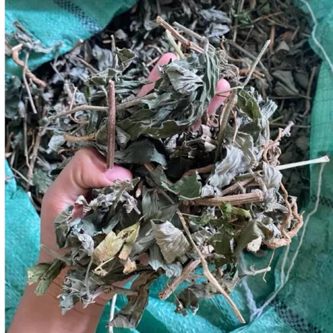 1kg Cây Dạ Cẩm khô thơm (Sao vàng hạ thổ) hỗ trợ các vấn đề dạ dày