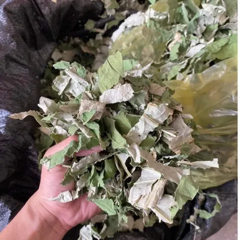 1Kg Lá Sen Khô (Sao Vàng Hạ Thổ) Hỗ Trợ Ổn Định Huyết Áp, Hỗ Trợ Mỡ Máu, Giúp Ngủ Ngon, Thanh Lọc Cơ Thể, Giải Nhiệt