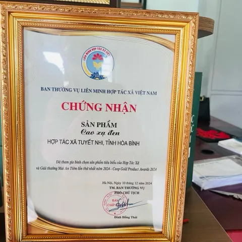 Cao Xạ Đen Hòa Bình 100g – Thảo dược hỗ trợ thanh lọc cơ thể, tăng cường sức khỏe, an thần, ngủ ngon, thanh nhiệt