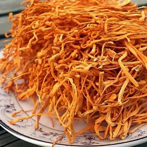 1Kg Nấm Đông Trùng Hạ Thảo Sấy Khô – Sợi To Đẹp, Hương Thơm Tự Nhiên – Dưỡng Sức, Bổ Dưỡng Cơ Thể, Hàng Cao Cấp