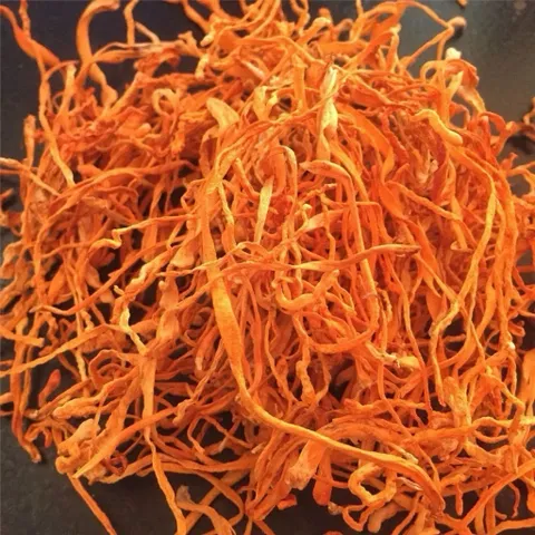 1Kg Nấm Đông Trùng Hạ Thảo Sấy Khô – Sợi To Đẹp, Hương Thơm Tự Nhiên – Dưỡng Sức, Bổ Dưỡng Cơ Thể, Hàng Cao Cấp