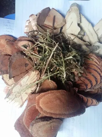 1Kg Cỏ Máu Tăng cân 7 Vị Bổ máu (Sao vang hạ thổ, khô, thơm) Ăn ngon, Ngủ ngon, Kích thích tiêu hóa, Tăng cân tự nhiên