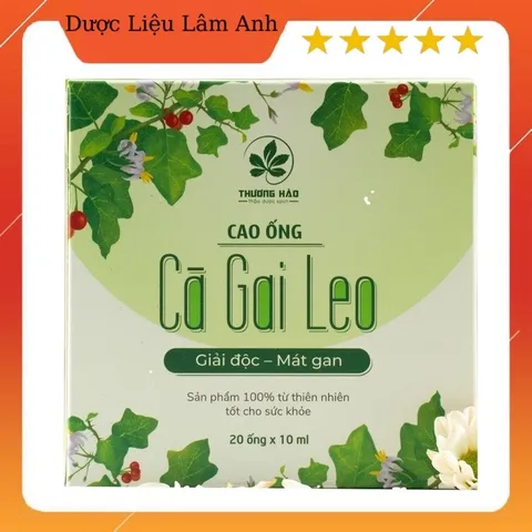 Cao Cà gai leo Hoà Bình (dạng lỏng) chuẩn GACP-WHO hộp 20 ống (có chứng nhận ATVSTP)