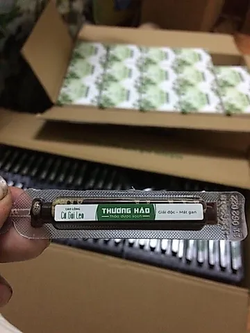 Cao Cà gai leo Hoà Bình (dạng lỏng) chuẩn GACP-WHO hộp 20 ống (có chứng nhận ATVSTP)