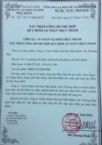 Cao Cà gai leo Hoà Bình (dạng lỏng) chuẩn GACP-WHO hộp 20 ống (có chứng nhận ATVSTP)