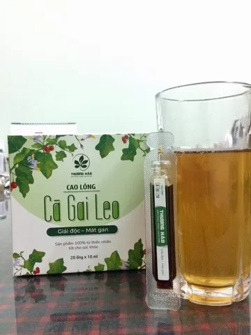 Cao Cà gai leo Hoà Bình (dạng lỏng) chuẩn GACP-WHO hộp 20 ống (có chứng nhận ATVSTP)