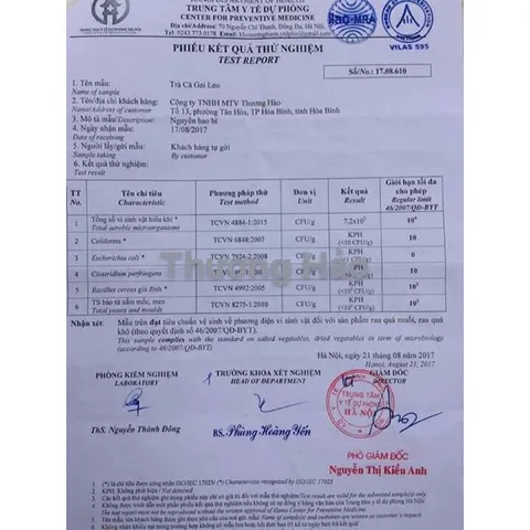 Cao Cà gai leo Hoà Bình (dạng lỏng) chuẩn GACP-WHO hộp 20 ống (có chứng nhận ATVSTP)