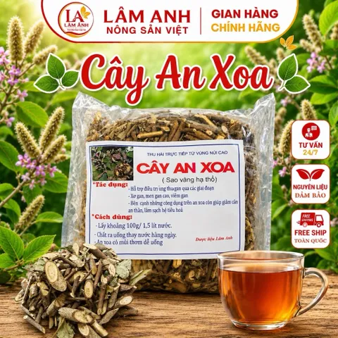 1Kg An Xoa Hoa Tím Hòa Bình (Sao Vàng Hạ Thổ) Vụ Mới Khô Thơm – Thảo Mộc Khô Tự Nhiên – Mát Gan, Thanh Nhiệt, Hạ Men Gan