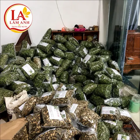 1Kg An Xoa Hoa Tím Hòa Bình (Sao Vàng Hạ Thổ) Vụ Mới Khô Thơm – Thảo Mộc Khô Tự Nhiên – Mát Gan, Thanh Nhiệt, Hạ Men Gan