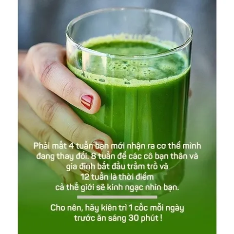 Bột cần tây sấy lạnh nguyên chất hộp - 500g