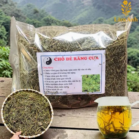 1Kg Diệp Hạ Châu (Chó Đẻ Răng Cưa) Sao Vàng Hạ Thổ, Khô, Thơm, Hỗ Trợ Thanh Nhiệt, Lợi Tiểu, Hỗ Trợ Sỏi Thận, Hỗ Trợ Gan