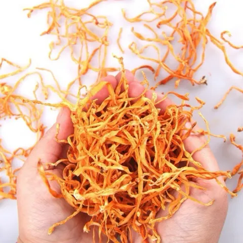 100gr Nấm Đông Trùng Hạ Thảo Sấy Khô – Sợi To Đẹp, Hương Thơm Tự Nhiên – Dưỡng Sức, Bổ Dưỡng Cơ Thể, Hàng Cao Cấp