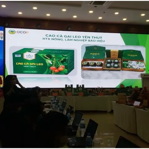 Cao Cà Gai Leo Yên Thủy – Bảo Hiệu (100gr) Thanh Nhiệt, Mát Cơ Thể, Hỗ Trợ Duy Trì Chức Năng Gan Và Sức Khỏe Hằng Ngày