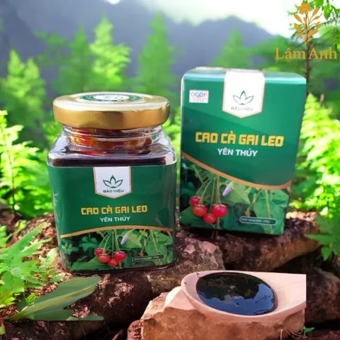 Cao Cà Gai Leo Yên Thủy – Bảo Hiệu (100gr) Thanh Nhiệt, Mát Cơ Thể, Hỗ Trợ Duy Trì Chức Năng Gan Và Sức Khỏe Hằng Ngày