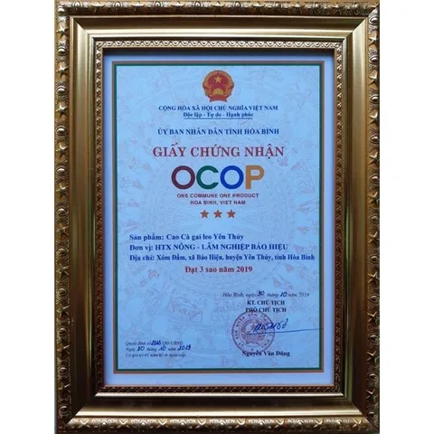 Cao Cà Gai Leo Yên Thủy – Bảo Hiệu (100gr) Thanh Nhiệt, Mát Cơ Thể, Hỗ Trợ Duy Trì Chức Năng Gan Và Sức Khỏe Hằng Ngày