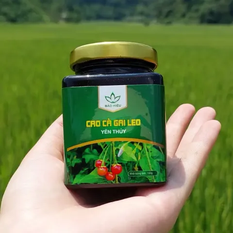 Cao Cà Gai Leo Yên Thủy – Bảo Hiệu (100gr) Thanh Nhiệt, Mát Cơ Thể, Hỗ Trợ Duy Trì Chức Năng Gan Và Sức Khỏe Hằng Ngày