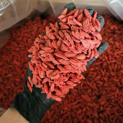 100g Kỷ Tử Ninh Hạ (Câu Kỉ Tử) Màu Tự Nhiên Không Nhuộm, Hạt To Đều, Dùng Pha Trà, Tiềm Gà, Đẹp Da, Dễ Ngủ, Sáng Mắt