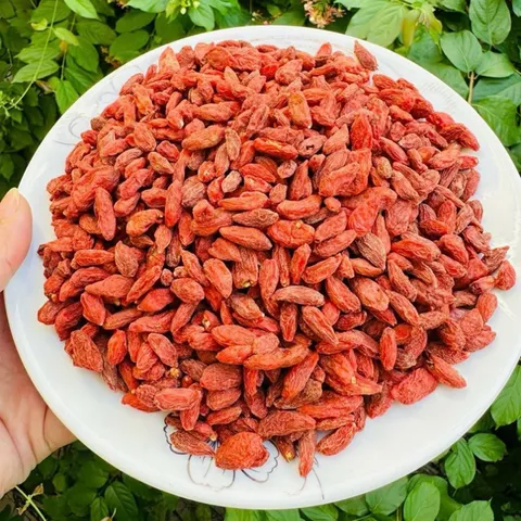 100g Kỷ Tử Ninh Hạ (Câu Kỉ Tử) Màu Tự Nhiên Không Nhuộm, Hạt To Đều, Dùng Pha Trà, Tiềm Gà, Đẹp Da, Dễ Ngủ, Sáng Mắt
