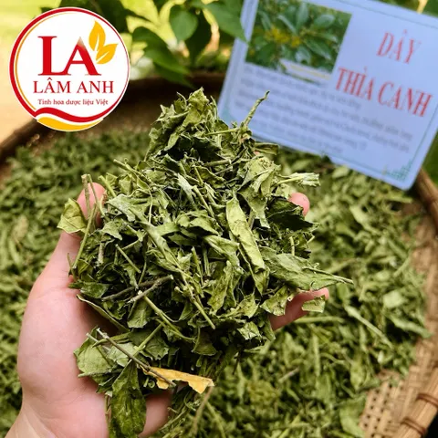 1Kg Dây Thìa Canh Hoà Bình (Sao Vàng Hạ Thổ) Vụ Mới, Khô, Xanh, Hỗ Trợ Ổn Định Đường Huyết, Hỗ Trợ Mỡ Máu, Lợi Tiểu