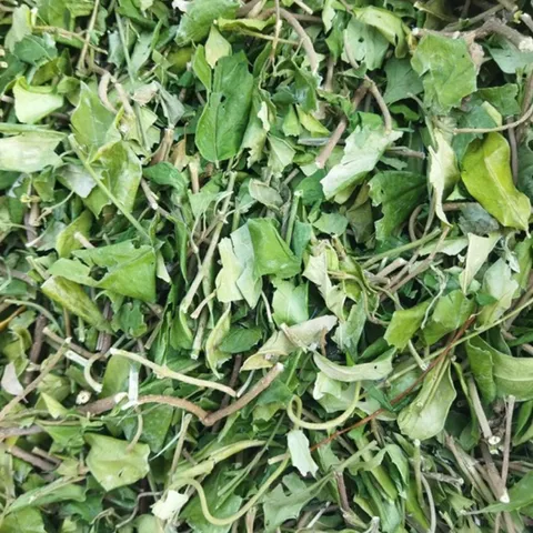 1Kg Dây Thìa Canh Hoà Bình (Sao Vàng Hạ Thổ) Vụ Mới, Khô, Xanh, Hỗ Trợ Ổn Định Đường Huyết, Hỗ Trợ Mỡ Máu, Lợi Tiểu