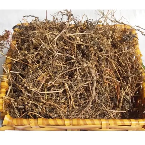 1Kg Bạch Hoa Xà Thiệt Thảo (Sao vàng hạ thổ) Trà túi lọc hỗ trợ K, U bướu