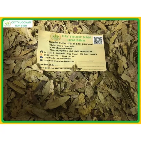 1Kg Phan Tả Diệp hỗ trợ táo bón, nhuận tràng