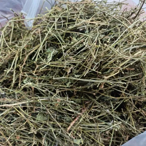 1Kg Giảo Cổ Lam 5 Lá Hòa Bình (Sao Vàng Hạ Thổ) Hỗ Trợ Ổn Định Huyết Áp, Mỡ Máu, Ổn Định Đường Huyết, Thanh Lọc Cơ Thể