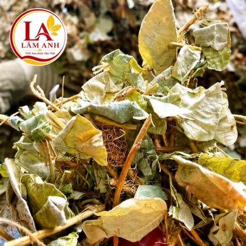 1Kg Kim Tiền Thảo (Sao Vàng Hạ Thổ, Khô Thơm) – Hỗ Trợ Thanh Nhiệt, Lợi Tiểu, Thông Tiểu, Hỗ Trợ Giảm Sỏi, Lợi Mật