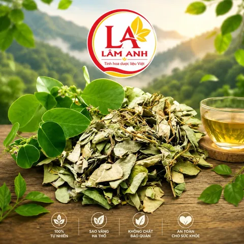 1Kg Kim Tiền Thảo (Sao Vàng Hạ Thổ, Khô Thơm) – Hỗ Trợ Thanh Nhiệt, Lợi Tiểu, Thông Tiểu, Hỗ Trợ Giảm Sỏi, Lợi Mật