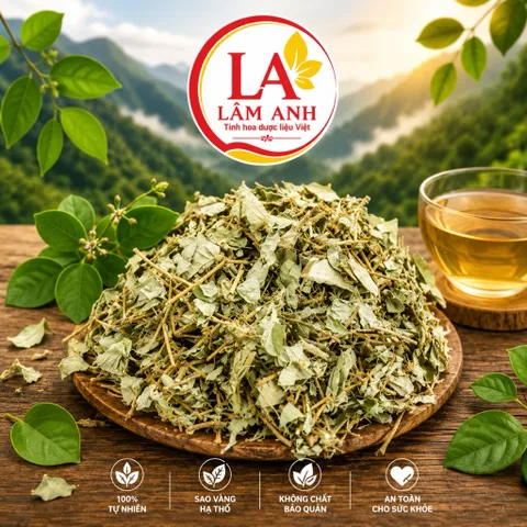 1Kg Kim Tiền Thảo (Sao Vàng Hạ Thổ, Khô Thơm) – Hỗ Trợ Thanh Nhiệt, Lợi Tiểu, Thông Tiểu, Hỗ Trợ Giảm Sỏi, Lợi Mật