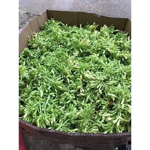 100g Hoa Đu Đủ Đực vụ mới (Sao vàng hạ thổ)