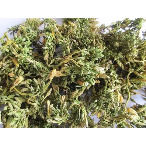 100g Hoa Đu Đủ Đực vụ mới (Sao vàng hạ thổ)