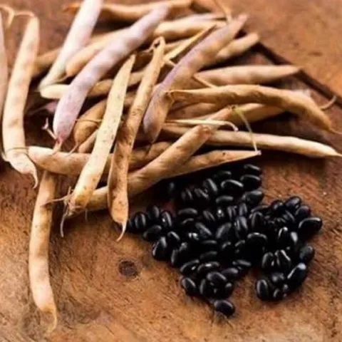 1Kg Đậu Đen Xanh Lòng Rang Sẵn/ Hạt Sống – Đậu Đen Quê Nấu Nước Uống, Nấu Chè, Làm Sữa Hạt Thơm Bùi